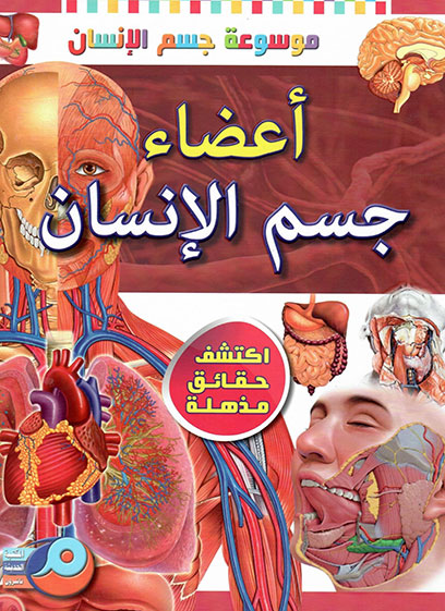 Body Organs