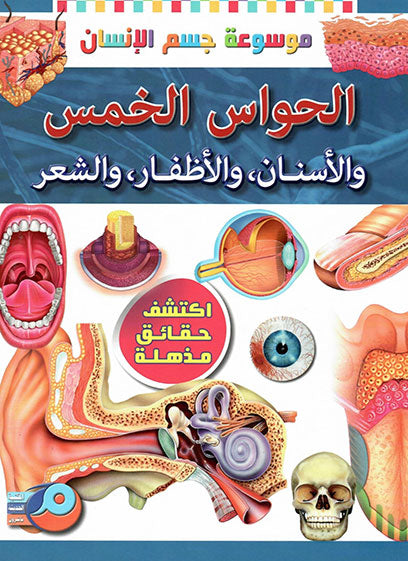  Five Senses