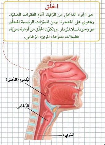 تحدي الأذكياء - جسم الإنسان